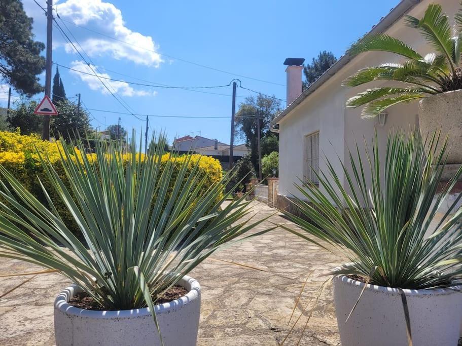 Casa Felic 12 Personen, Familiehuis Met Hottub Lloret de Mar